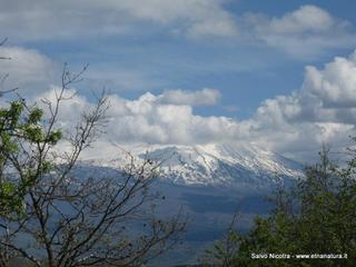 rrente Saracena-26-04-2014 17-14-45
